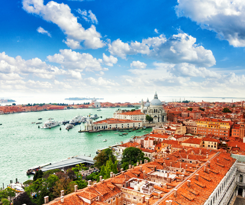 <div>[오전] 임팩트 본섬 투어</div>
