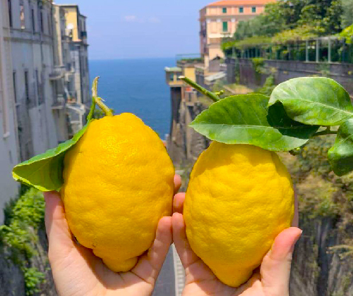 이탈리아 남부 기차투어&nbsp;